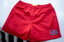 Load image into Gallery viewer, Sample LSD Mesh Shorts (Red/Navy) - likesushi

