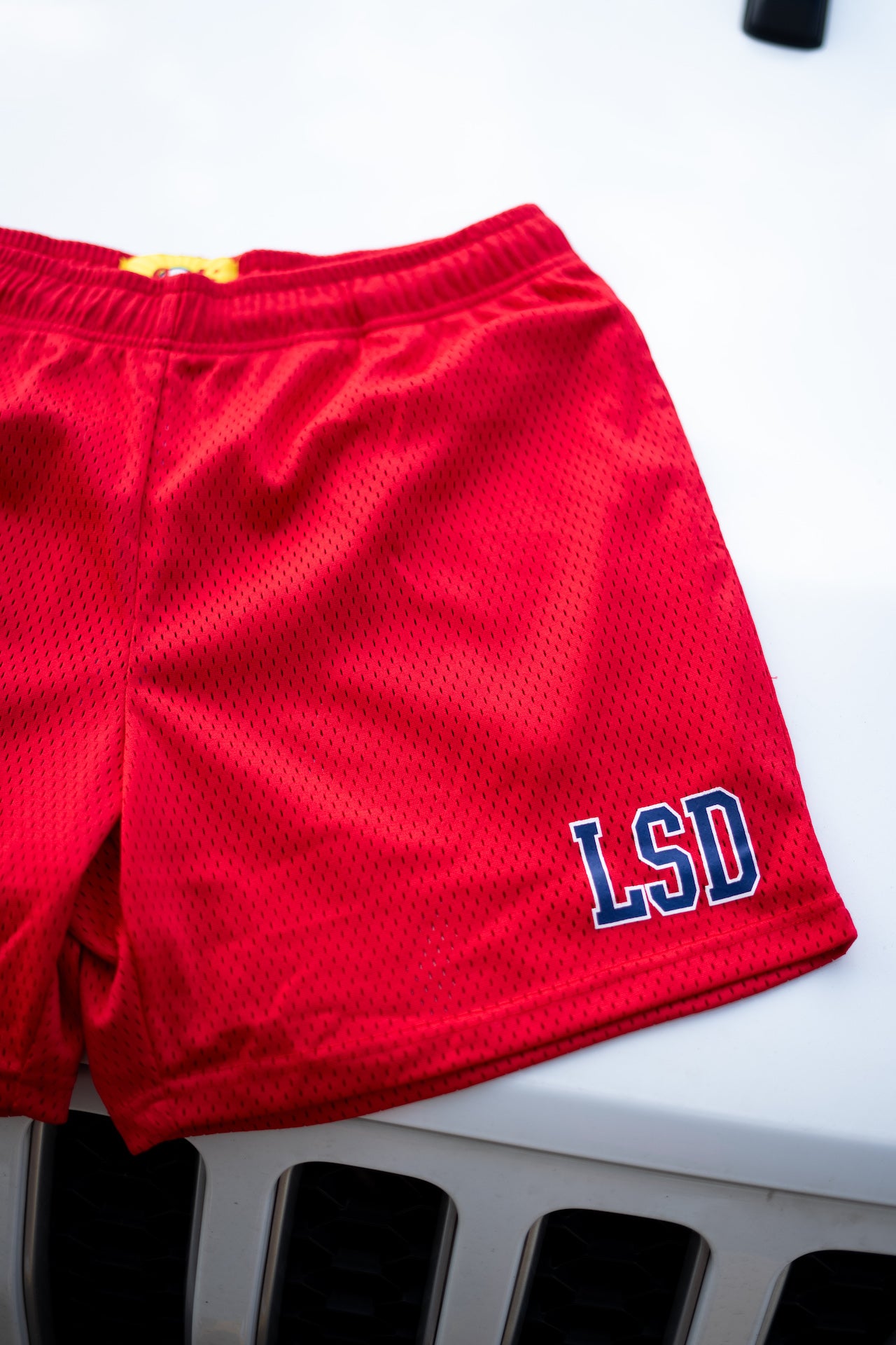 Sample LSD Mesh Shorts (Red/Navy) - likesushi