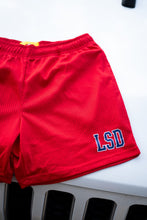 Load image into Gallery viewer, Sample LSD Mesh Shorts (Red/Navy) - likesushi

