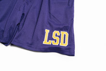 Load image into Gallery viewer, Design School Mesh Shorts (Varsity Purple) - likesushi
