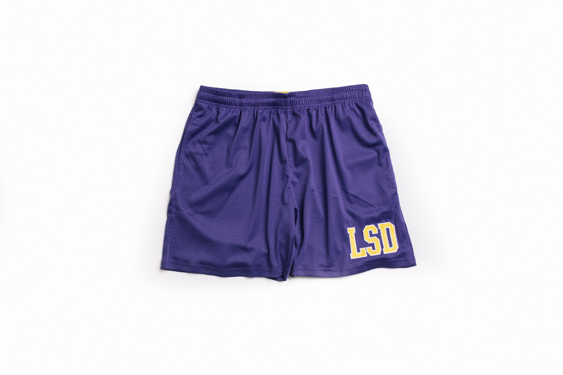 Design School Mesh Shorts (Varsity Purple) - likesushi