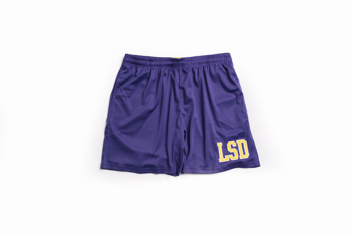 Design School Mesh Shorts (Varsity Purple) - likesushi